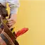 Handyman repair service in Boise, ID for home fixes and improvements